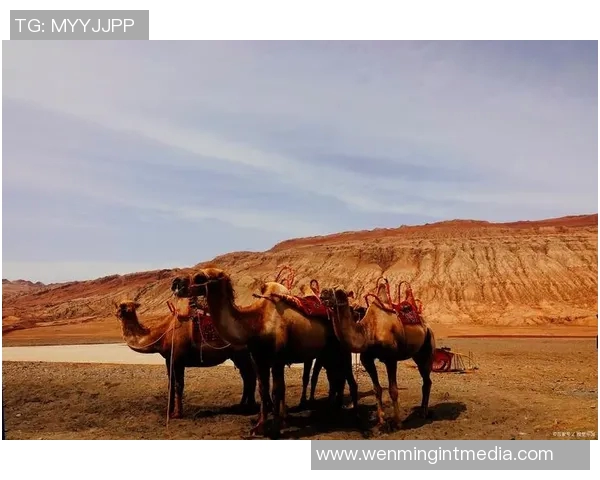 探索阿拉巴的神秘魅力与独特文化之旅